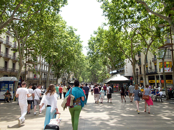 L1040016-1.jpg
